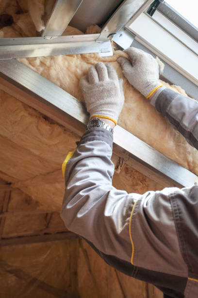 Best Attic Insulation Installation  in Willow Grove, PA