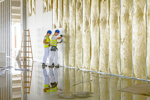 Best Insulation Repair Services  in Willow Grove, PA